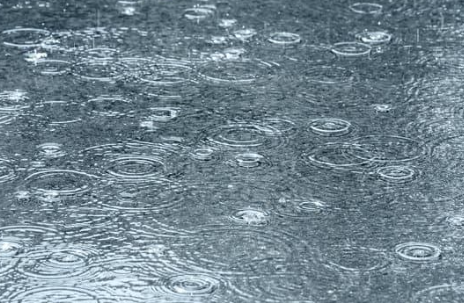 Nitrogen May Help Rescue Flooded Soybeans