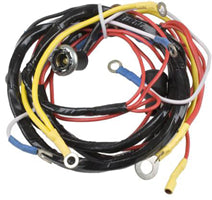 TISCO Wiring Harness for Ford, 310996