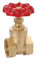 1/4" BRONZE GATE VALVE