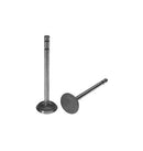 Intake Valve for International 366302R2