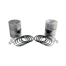 Piston & Rings - Set of 2 .045" for John Deere AB5317R