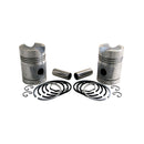 Piston & Rings - Set of 2 .045" for John Deere AB3918R