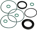 SEAL KIT-AGSMART HYDRAULIC MOTOR - VITON
