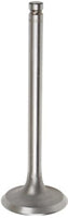 TISCO Intake Valve for International, 366302R2